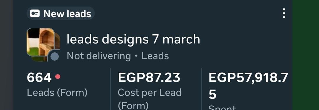 نتائج حملة إعلانية عقارية ناجحة - المثال السادس